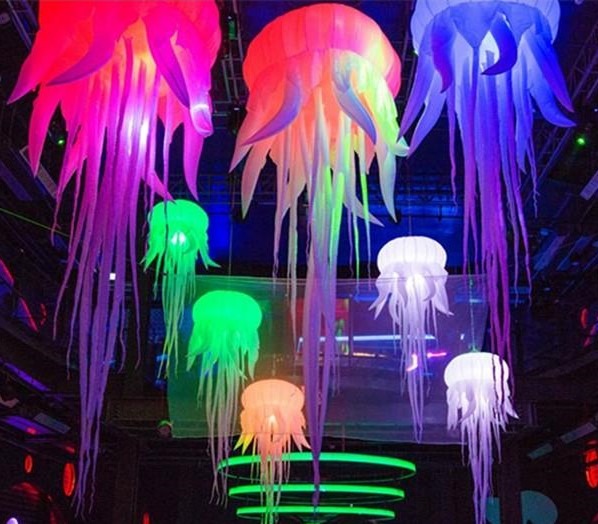 Jellyfish