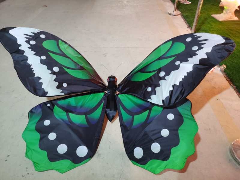 Papillon Géant