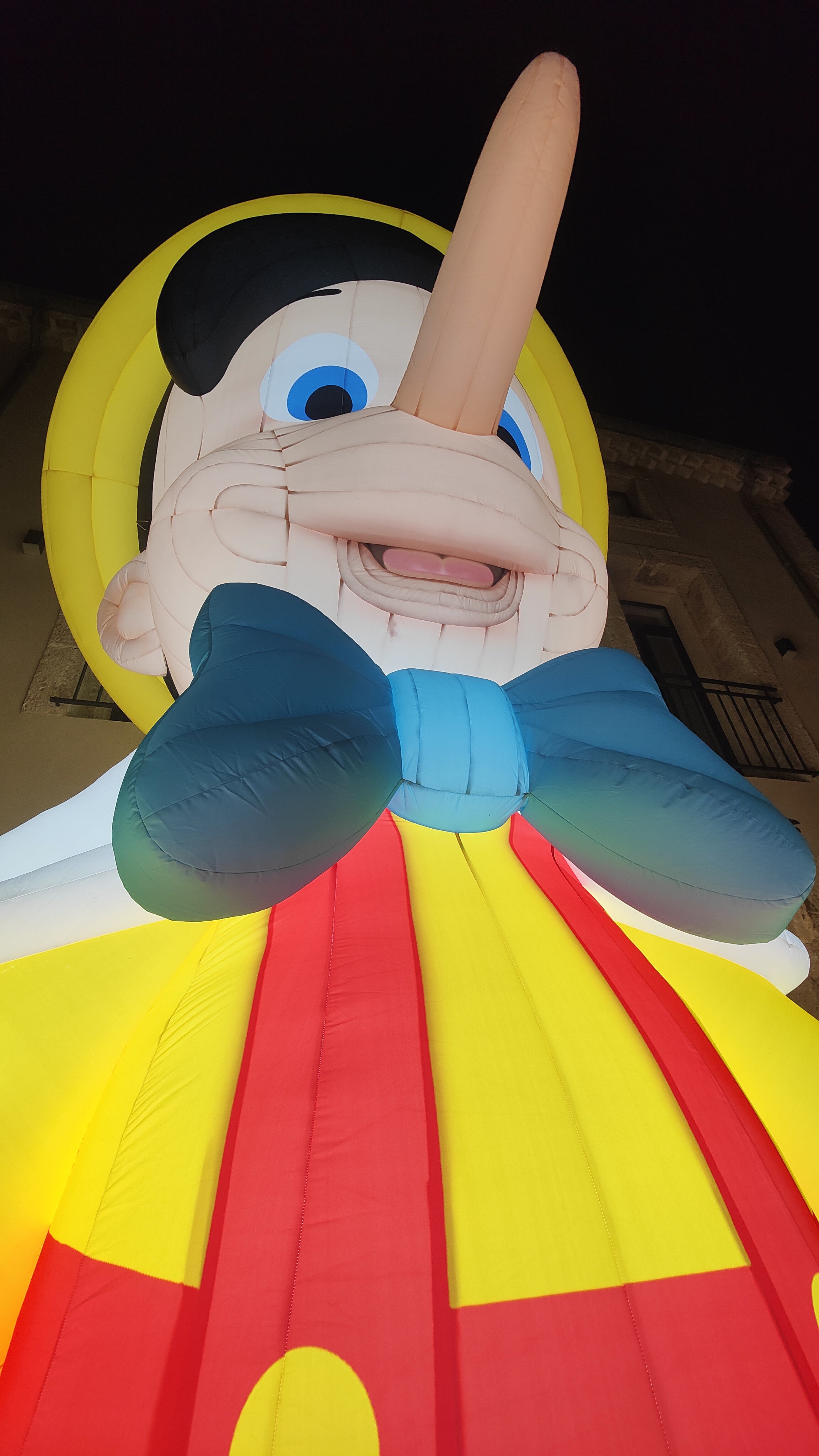 Image 19