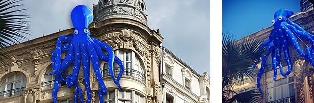 La pieuvre