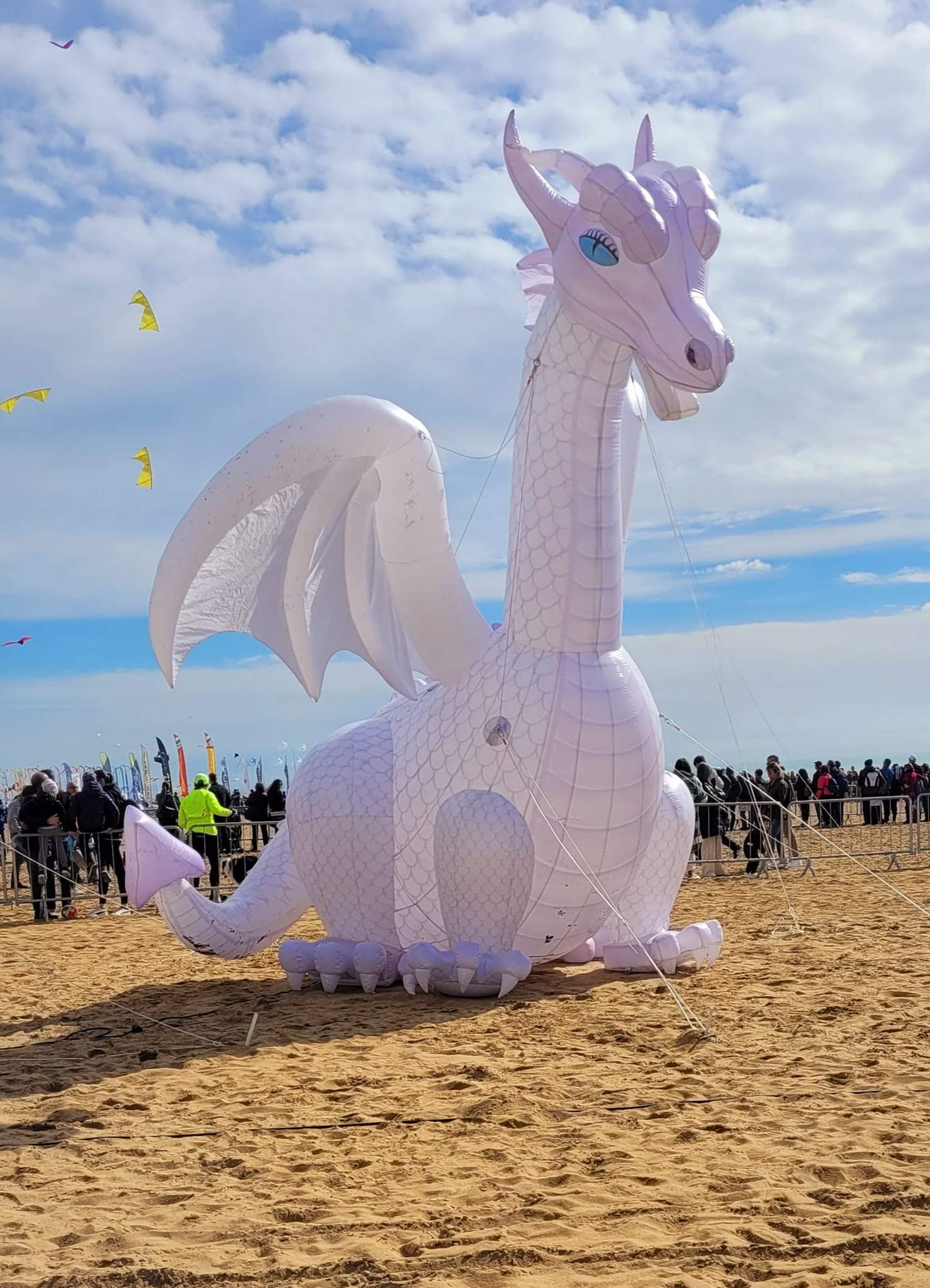 Dragonne