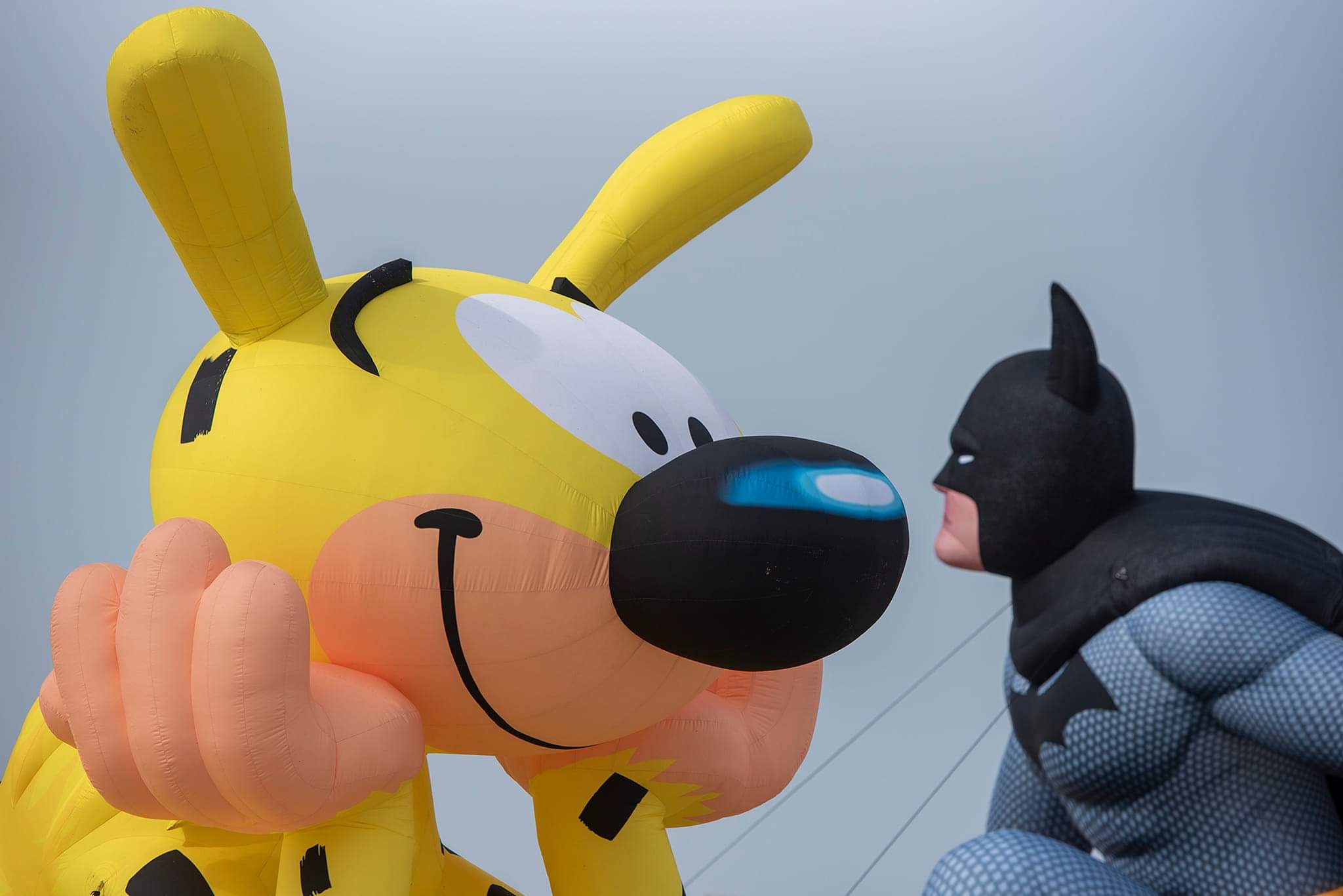 Marsupilami